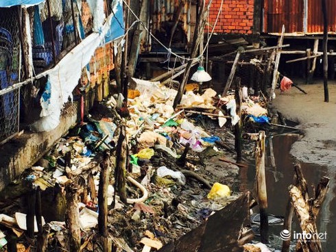 Cà Mau: Sông Gành Hào nước đen như mực - ảnh 5