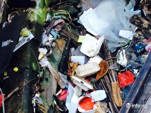 Cà Mau: Sông Gành Hào nước đen như mực - ảnh 6