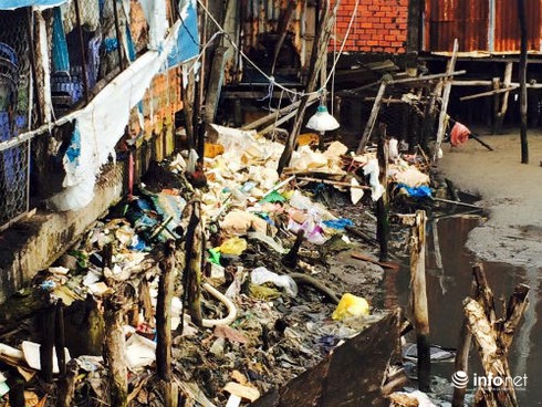 Cà Mau: Sông Gành Hào nước đen như mực - ảnh 7