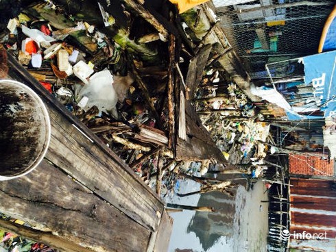 Cà Mau: Sông Gành Hào nước đen như mực - ảnh 8