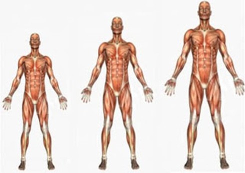 Đừng biến con thành