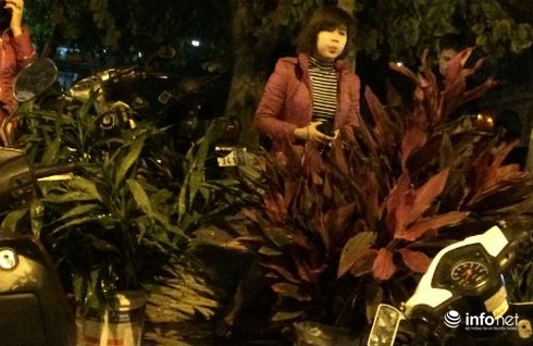 Bẻ cây lấy lộc đầu xuân... sai với tín ngưỡng văn hóa - ảnh 2