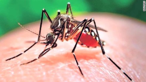 Việt Nam công bố hết dịch Zika - ảnh 1