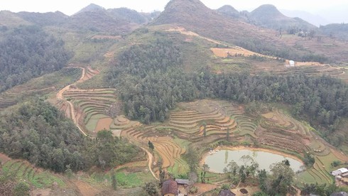 Nhức nhối nạn buôn người ở Hà Giang - ảnh 2