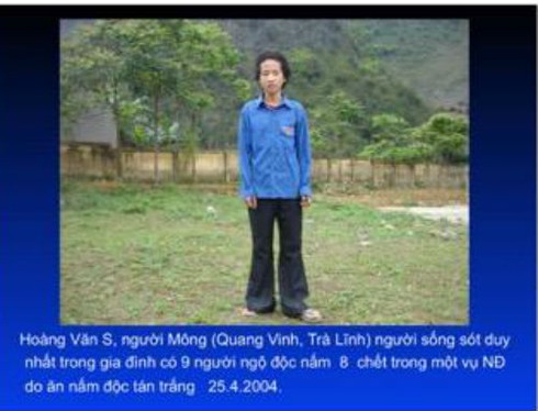 Chuyên gia về chống độc chia sẻ cách nhận diện nấm độc - ảnh 1