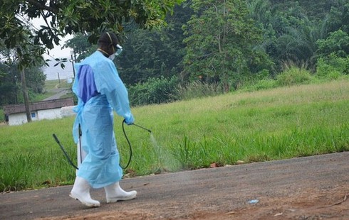 Chùm bệnh nhân đột ngột tử vong tại Liberia do bệnh gì? - ảnh 1