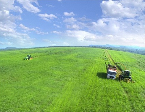 Cách hóa giải thị phi của nữ doanh nhân quyền lực nhất Châu Á Thái Hương - ảnh 3