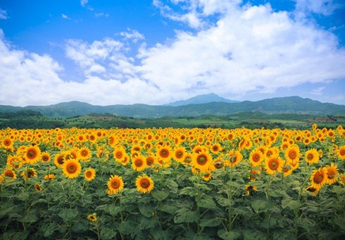 Cách hóa giải thị phi của nữ doanh nhân quyền lực nhất Châu Á Thái Hương - ảnh 4