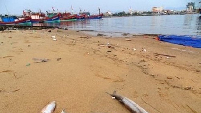 Nghe VietNamNet: Bộ Tài chính yêu cầu sớm chi trả hết tiền hỗ trợ sự cố Formosa