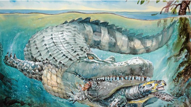 Hình nền Nền Một Bản Vẽ Cá Sấu Trong Một Khung Cảnh Nước Nền Vẽ Hình Con Cá  Sấu Background Vector để tải xuống miễn phí  Pngtree