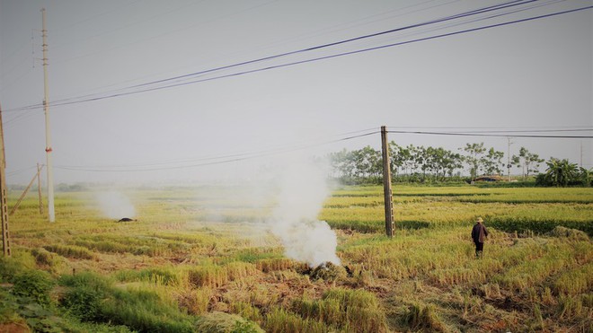 Bộ TN&MT thông tin nguyên nhân gây ô nhiễm không khí ở Hà Nội, TP.HCM