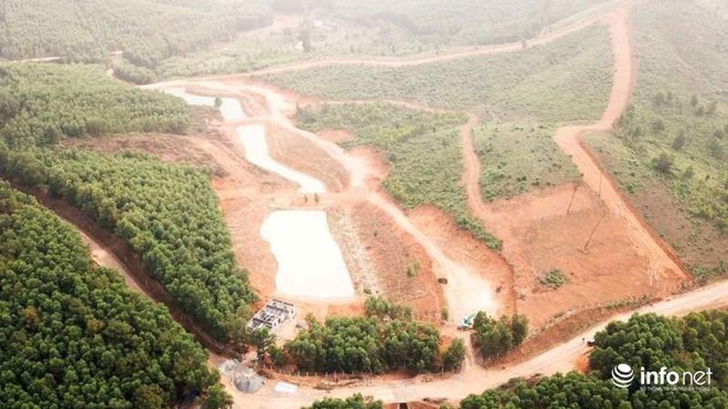 Chủ rừng bạt đồi xây dự án: