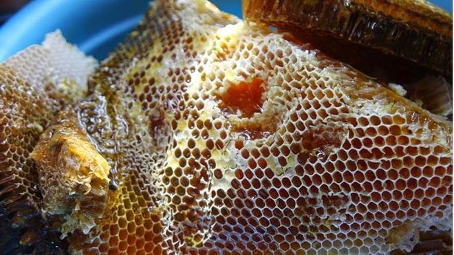 CHUYÊN GIA VIỆT: THÔNG TIN 75% MẬT ONG CHỨA THUỐC TRỪ SÂU LÀ KHÔNG ĐÚNG