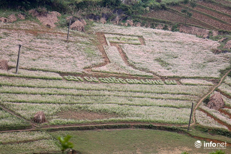 Tự hào đứng dưới Cột cờ Lũng Cú - ảnh 6