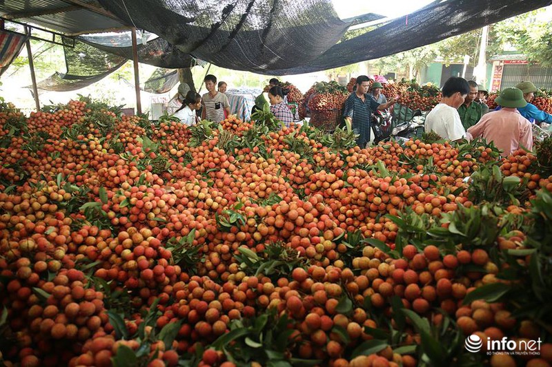Rực rỡ