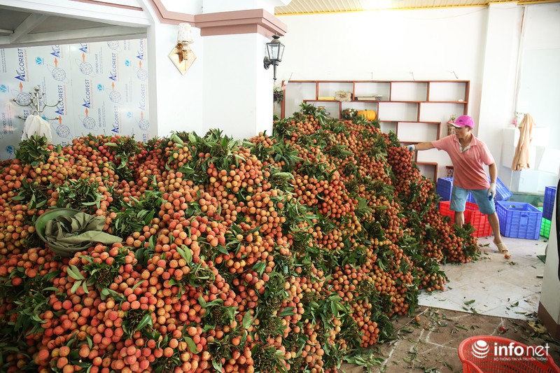 Rực rỡ