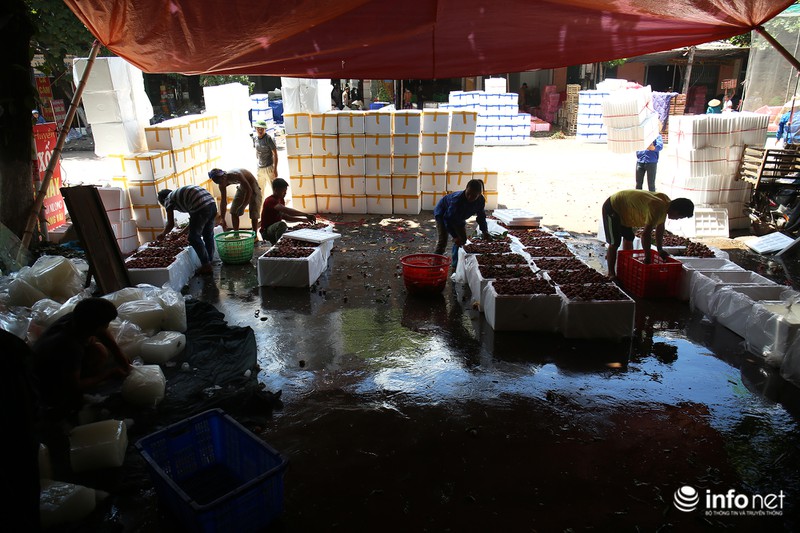 Tận mắt quy trình ướp đá vải thiều Lục Ngạn - ảnh 10