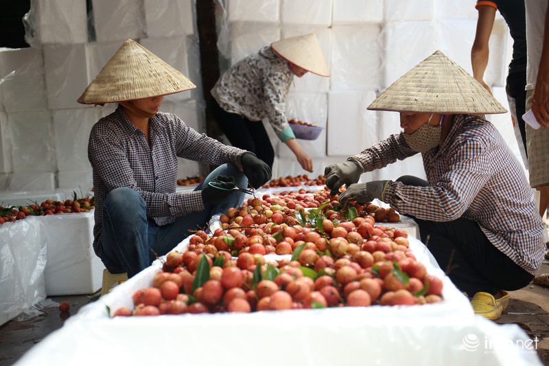 Rực rỡ