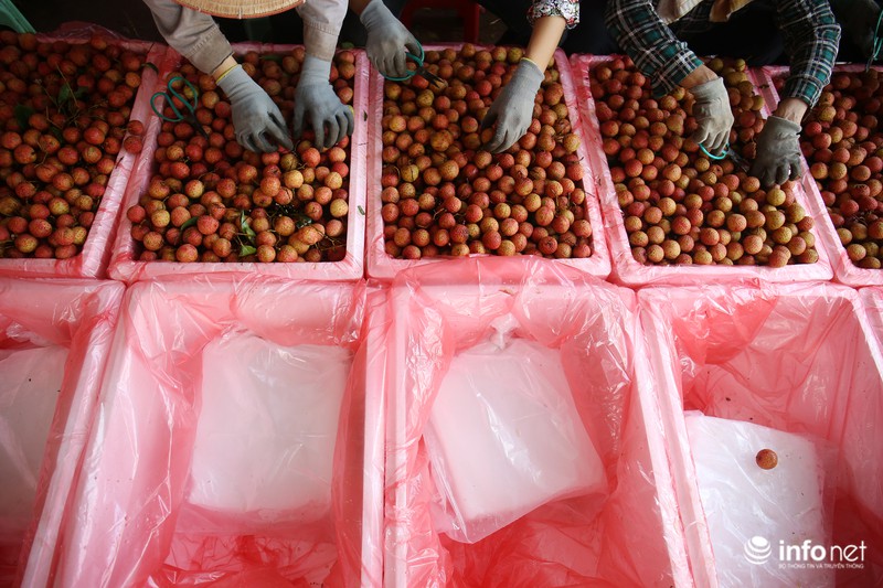 Rực rỡ