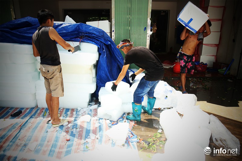 Tận mắt quy trình ướp đá vải thiều Lục Ngạn - ảnh 1