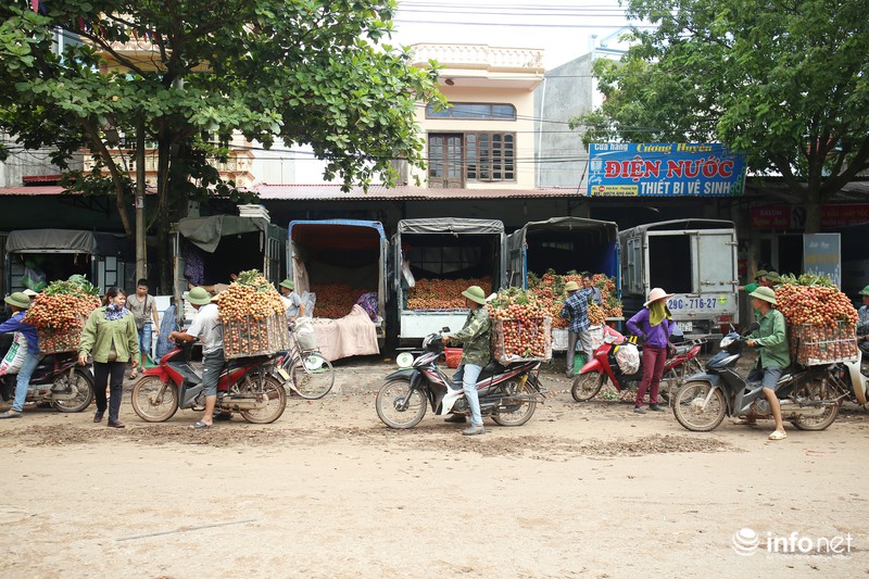 Rực rỡ