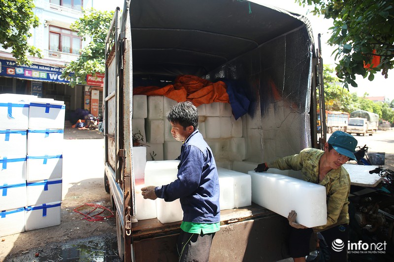 Tận mắt quy trình ướp đá vải thiều Lục Ngạn - ảnh 3