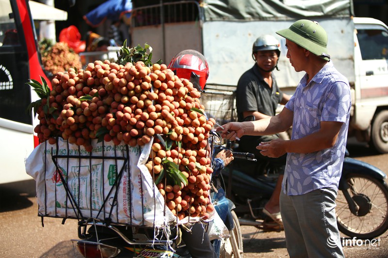 Rực rỡ