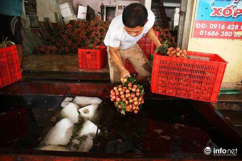 Tận mắt quy trình ướp đá vải thiều Lục Ngạn - ảnh 5
