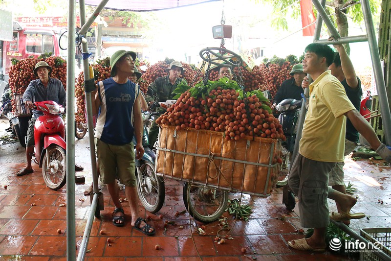 Rực rỡ