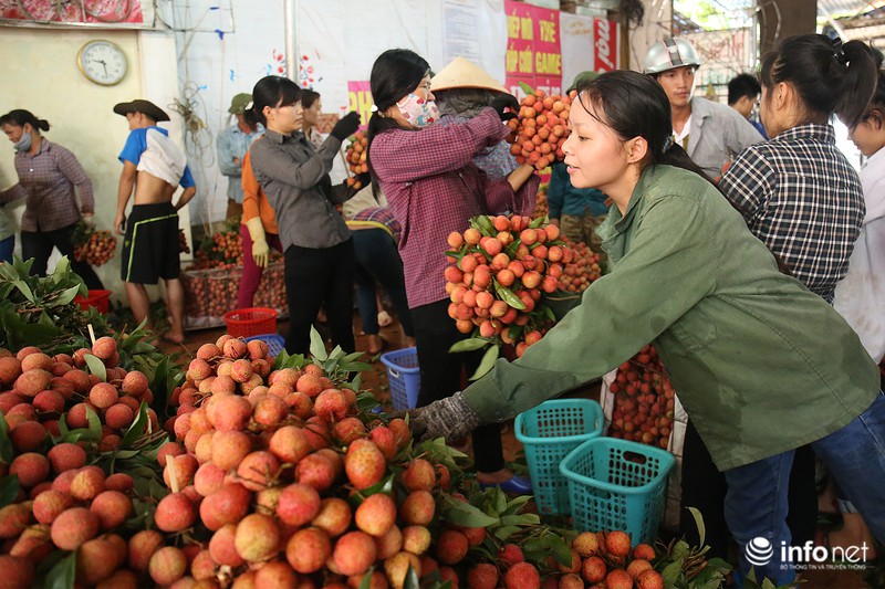 Rực rỡ