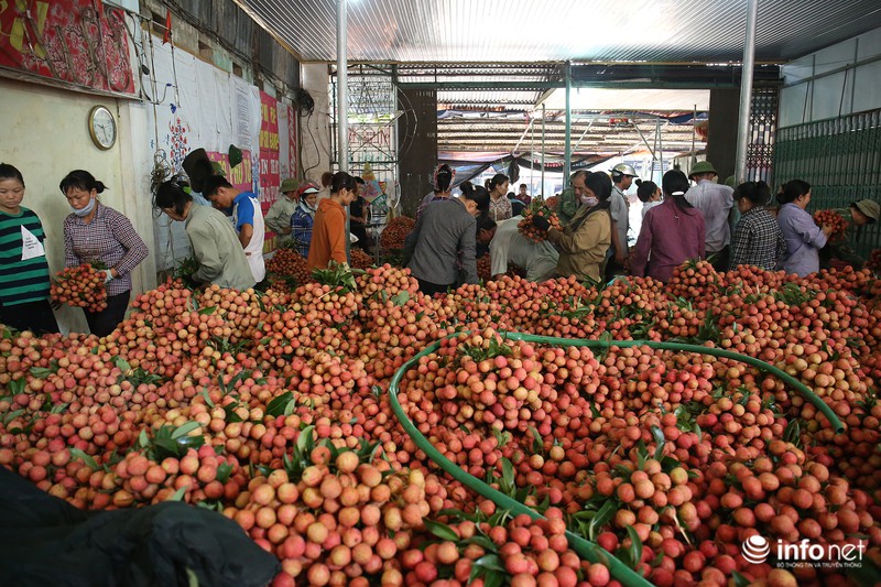 Rực rỡ