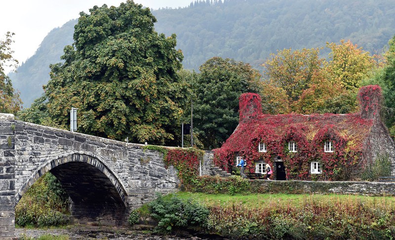 Thêm ảnh mùa thu đẹp nao lòng trên khắp thế giới - ảnh 6