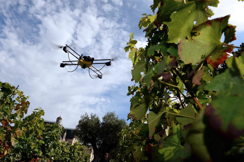 Thêm ảnh mùa thu đẹp nao lòng trên khắp thế giới - ảnh 10