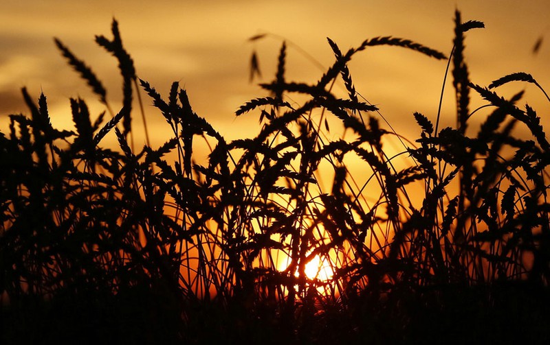 Thêm ảnh mùa thu đẹp nao lòng trên khắp thế giới - ảnh 13