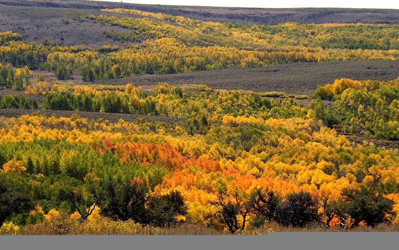 Thêm ảnh mùa thu đẹp nao lòng trên khắp thế giới - ảnh 18