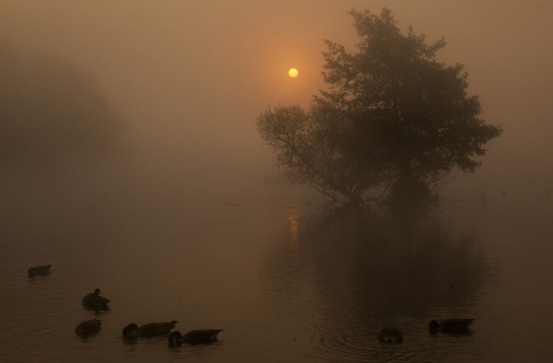 Thêm ảnh mùa thu đẹp nao lòng trên khắp thế giới - ảnh 22