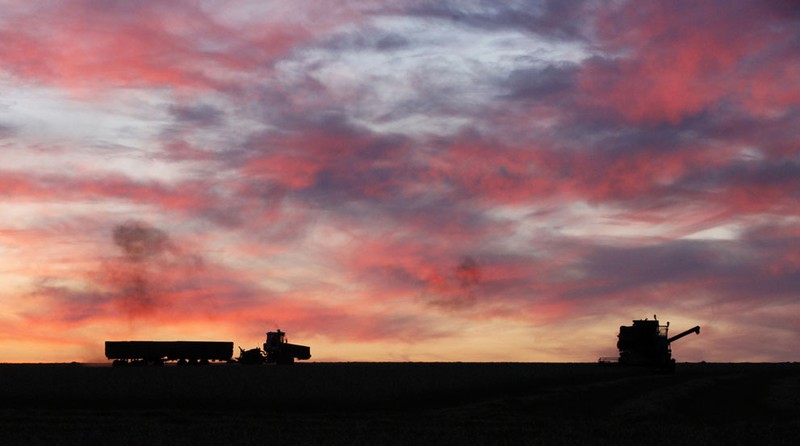 Thêm ảnh mùa thu đẹp nao lòng trên khắp thế giới - ảnh 23