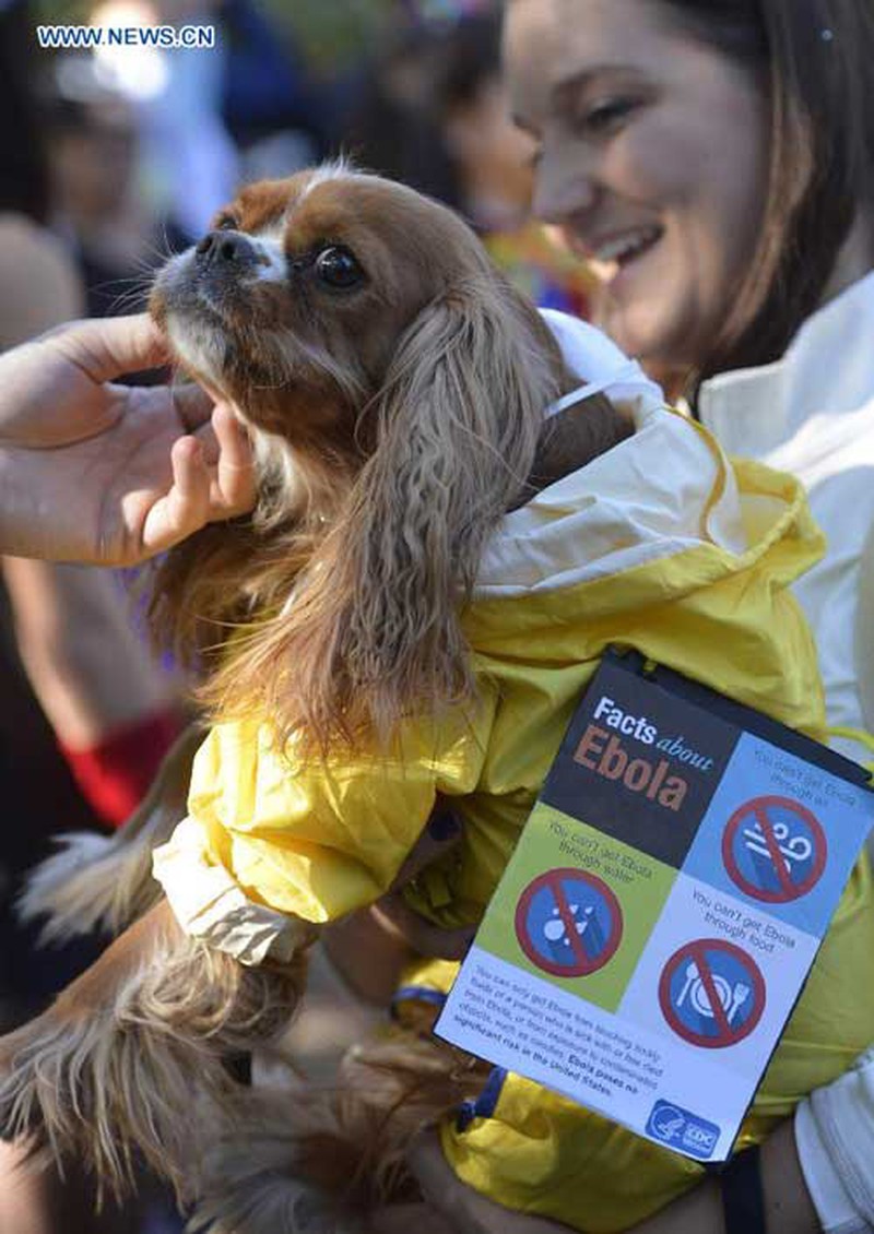 Mỹ: Độc đáo lễ hội Halloween dành cho chó cưng - ảnh 5