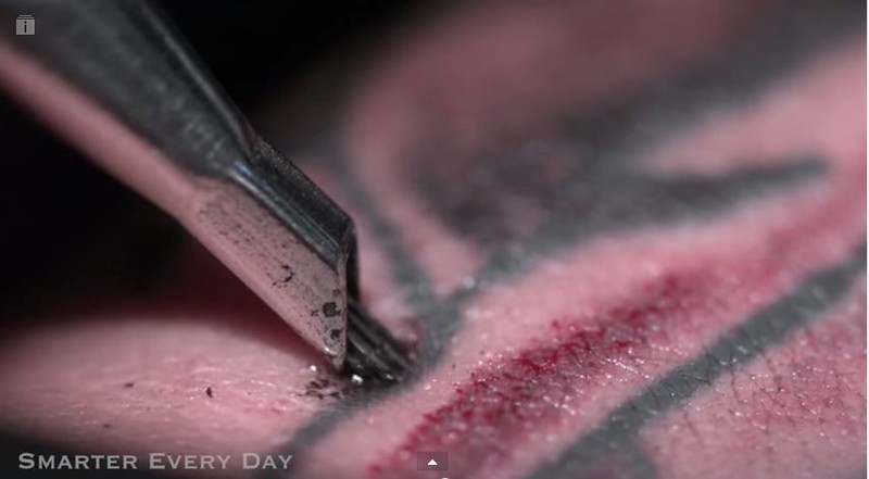 “Săm soi” nghệ thuật xăm hình qua những thước phim chậm - ảnh 1