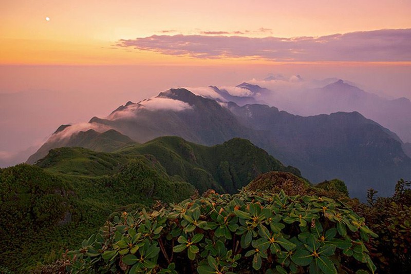 Hùng vĩ mây núi Phan Xi Păng - ảnh 1