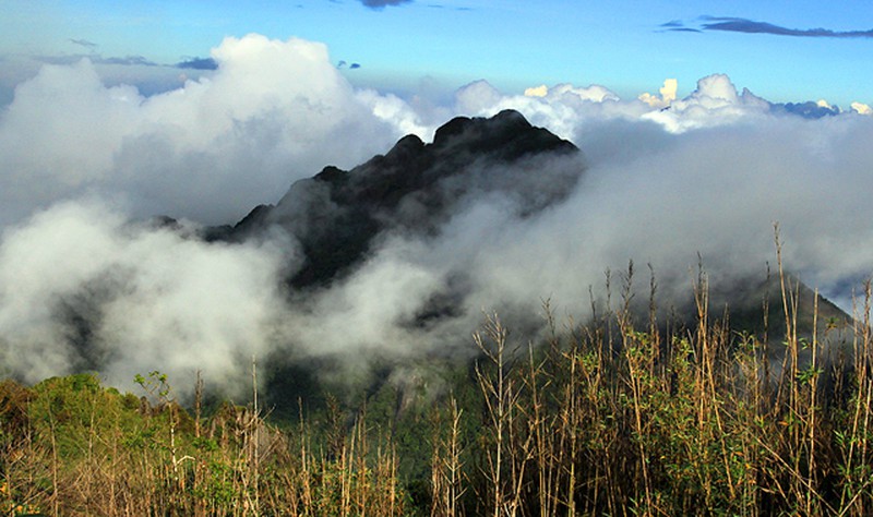 Hùng vĩ mây núi Phan Xi Păng - ảnh 7