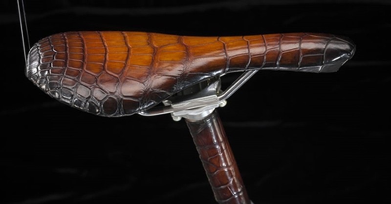 Xe đạp bọc da cá sấu giá 22.000 Euro - ảnh 11