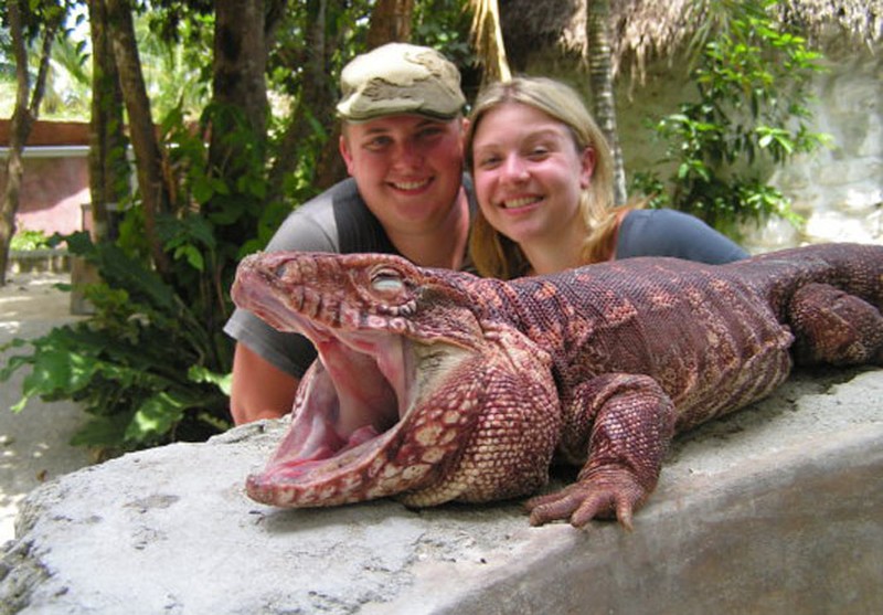 Bộ dạng kinh hãi của loài thằn lằn khổng lồ đến từ thời tiền sử - ảnh 6