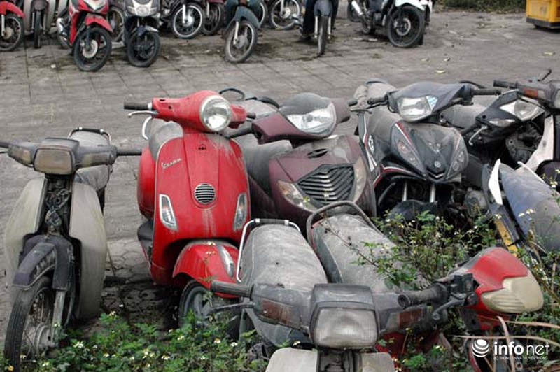 Mục sở thị