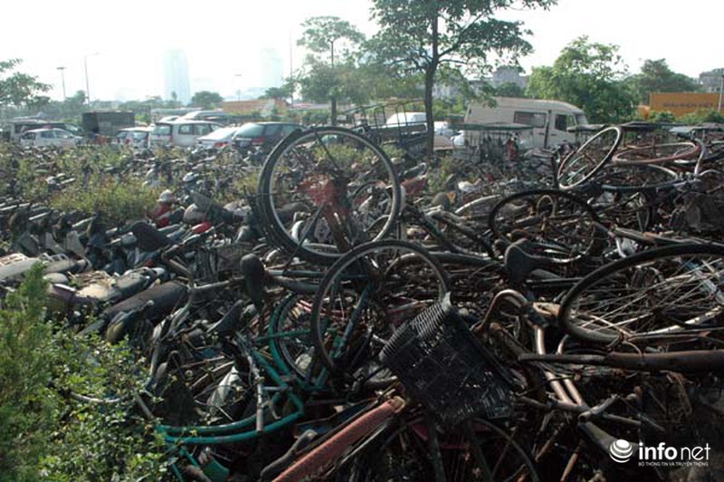 Mục sở thị