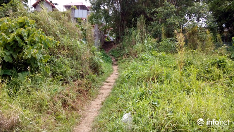 Nắng nóng, một phụ nữ xuống sông Hồng tắm giải nhiệt mất tích - ảnh 8