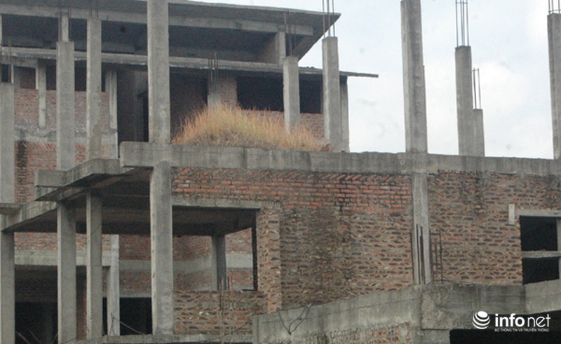 Những ngôi biệt thự chưa người ở đã “hóa thành” nhà cổ giữa Thủ đô - ảnh 9