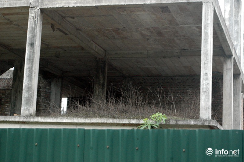 Những ngôi biệt thự chưa người ở đã “hóa thành” nhà cổ giữa Thủ đô - ảnh 15