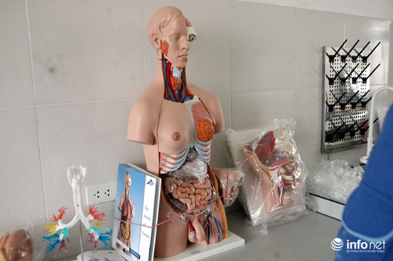 Cơ ngơi 2 khoa Y- Dược trị giá 80 tỷ đồng của ĐH Kinh doanh và Công nghệ - ảnh 9