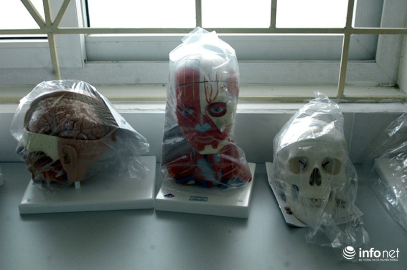 Cơ ngơi 2 khoa Y- Dược trị giá 80 tỷ đồng của ĐH Kinh doanh và Công nghệ - ảnh 10